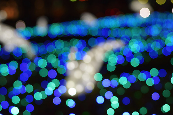 포토 JPG 해외이미지 디자인 백그라운드 크리스마스 추상 휴가 새로움 기념 사람없음 장식 가로 파란색 빛 파티 축제 축하 원형 야간 소프트포커스 연도 질감 보케 광 블러 해외202004 해외포토 자연요소 도형 기념일 컬러 컨셉 무늬 촬영기법 이벤트 파일형식 이미지허브