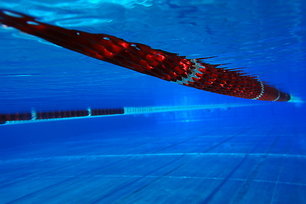 포토 JPG 해외이미지 스포츠 파도 패턴 건강 사람없음 물 파란색 빛 수중 수영 액체 잠수부 다이빙 침몰 터키석 해외202004 해외포토 자연요소 바다 컬러 무늬 수상스포츠 전문직 보석 수중스포츠 파일형식 이미지허브