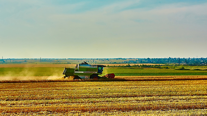 포토 JPG 해외이미지 주간 식물 농업 풍경 사람없음 야외 농장 농경지 수확 농기구 밀 밀밭 콤바인 해외202004 해외포토 자연요소 산업 밭 곡류 파일형식 이미지허브