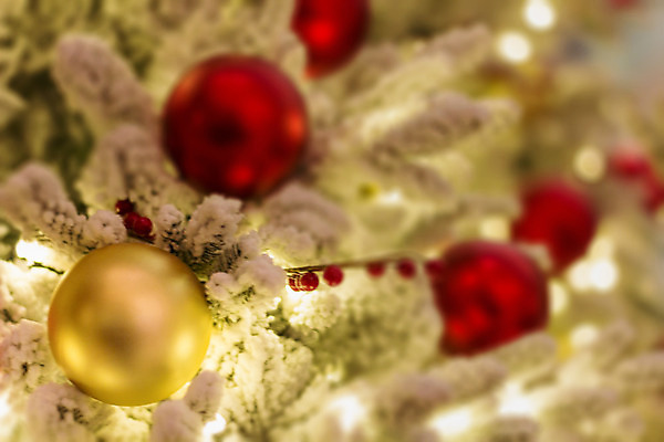 포토 JPG 해외이미지 전통 계절 백그라운드 크리스마스 겨울 포장 공 눈사람 유리 추상 휴가 3 선물 사람없음 목재 장식 가로 빨간색 초록색 파란색 빛 상자 우주 축제 장식볼 수확 흰색 나뭇가지 시골 눈송이 황금 보케 상록수 2016년 노엘 여의주 필터 해외202004 해외포토 나무 기념일 컬러 무늬 농업 재료 재질 눈_날씨 연도 파일형식 이미지허브