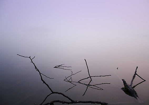 포토 JPG 해외이미지 나무 식물 계절 전통문화 호수 잎 밭 오렌지 자연 아침 풍경 사람없음 야외 빨간색 초록색 물 빛 햇빛 갈색 노란색 일출 보라색 추위 안개 가을 농촌 숲 심플 평야 해외202004 해외포토 주간 자연요소 전통 문화 컬러 농업 과일 날씨 태양 노을 시골 생태계 파일형식 이미지허브