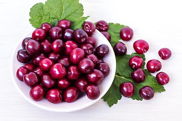 포토 JPG 해외이미지 접시 열매 음식 백그라운드 잎 농업 과일 자연 탁자 디저트 건강 사람없음 빨간색 초록색 정원 신선 체리 사발 달콤 맛 먹기 유기농 흙더미 숙성 채식주의자 해외202004 해외포토 식물 식기 웰빙 산업 컬러 가구 컨셉 모션 흙 사기그릇 생태계 채식 파일형식 더미 이미지허브