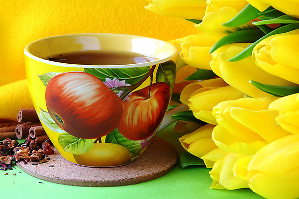 포토 JPG 해외이미지 꽃잎 꽃 음료 음식 꽃다발 백그라운드 잎 꽃무늬 과일 자연 부활절 사람없음 장식 컵 초록색 세트 노란색 주방 봄 튤립 벚꽃 신선 개화 차 아침식사 사과 컵받침 싱글 시나몬 해외202004 해외포토 식물 식기 계절 기념일 컬러 무늬 식사 받침대 생태계 파일형식 이미지허브