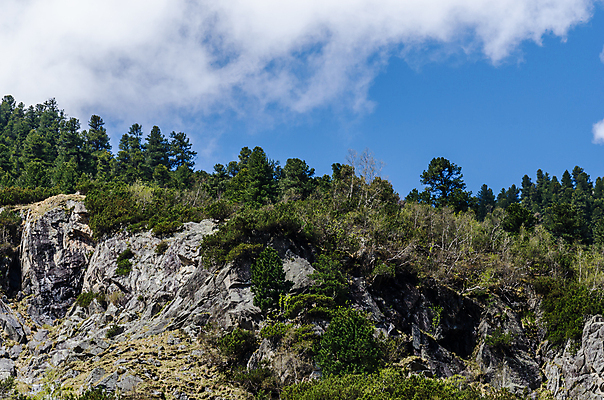 포토 JPG 해외이미지 나무 옷 유럽 산업 스포츠 여행 신발 모션 자연 휴가 산 부츠 건강 사람없음 야외 운동 자전거 일몰 트래킹 하이킹 장비 운전 자유 헬멧 버드나무 시력 상승 천국 산악자전거 해외202004 해외포토 식물 나라 컨셉 레저 노을 바이크 보호장비 생태계 파일형식 이미지허브