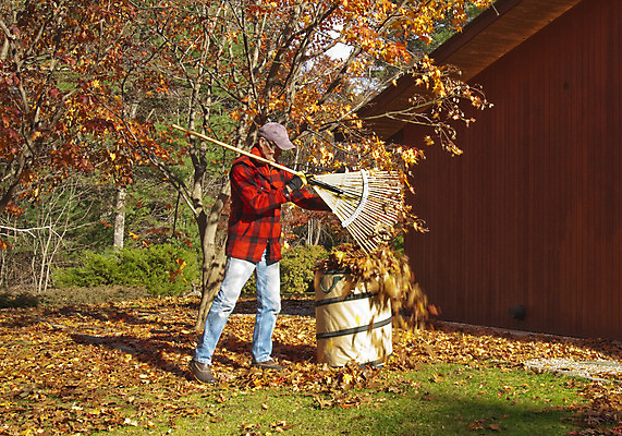 포토 JPG 해외이미지 잎 모션 한명 잔디 초록색 파란색 운동 가을 업무 은퇴 갈퀴 교외 돌봄 옛날 해외202004 해외포토 식물 1 계절 컬러 건강 사람 작업 파일형식 이미지허브