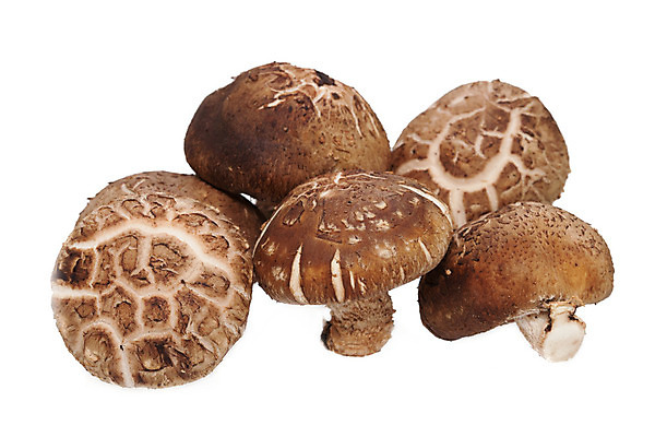 포토 JPG 해외이미지 음식 다이어트 채소 재료 자연 건강 사람없음 갈색 식사 버섯 흰색 신선 그룹 맛 먹기 유기농 날것 내추럴 고립 곰팡이 식용 채식주의자 해외202004 해외포토 웰빙 컬러 컨셉 모션 생태계 채식 파일형식 이미지허브