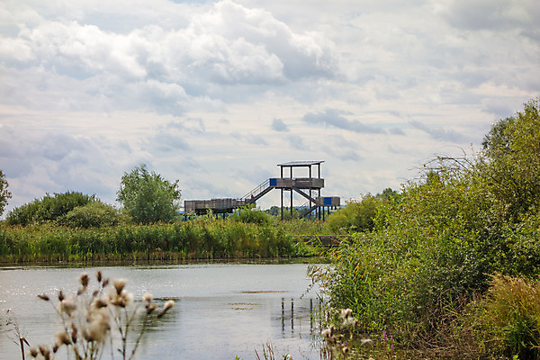 포토 JPG 해외이미지 유럽 호수 섬 여행 자연 조류 휴가 독일 풍경 사람없음 물 탑 관찰 바이에른 해외202004 해외포토 자연요소 동물 건축물 나라 모션 생태계 파일형식 이미지허브