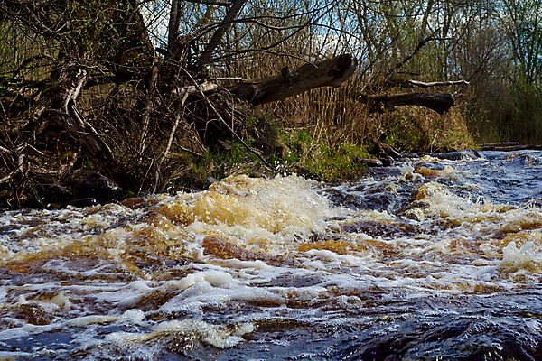 포토 JPG 해외이미지 파도 잎 자연 풍경 사람없음 초록색 물 강 갈색 머리 봄 거품 폭포 회색 흐름 바위 흰색 개울 숲 관목 속도 해외202004 해외포토 자연요소 나무 식물 계절 바다 컬러 컨셉 신체부위 돌_바위 생태계 파일형식 이미지허브