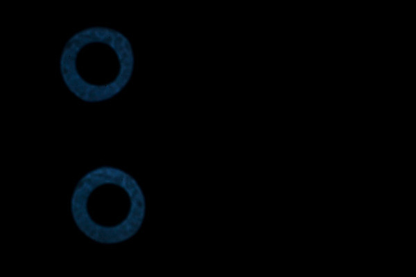 포토 JPG 해외이미지 디자인 별 백그라운드 크리스마스 패턴 추상 휴가 새로움 기념 사람없음 장식 파란색 빛 갈색 노란색 파티 우주 검은색 축제 어둠 수확 흰색 원형 화려 황금 고급 우아함 은색 야간 소프트포커스 연도 질감 보케 다이아몬드 먼지 마법 광 블러 효과 해외202004 해외포토 자연요소 도형 기념일 컬러 컨셉 무늬 농업 촬영기법 이벤트 보석 파일형식 이미지허브