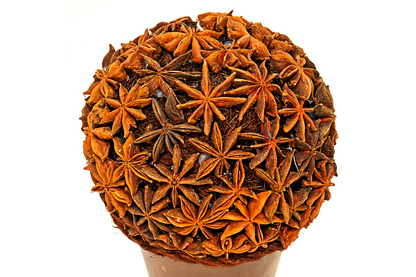 포토 JPG 해외이미지 디자인 열매 별 크리스마스 공 건조 사람없음 장식 원형 양념 향신료 향 해외202004 해외포토 자연요소 도형 식물 기념일 향미료 파일형식 이미지허브