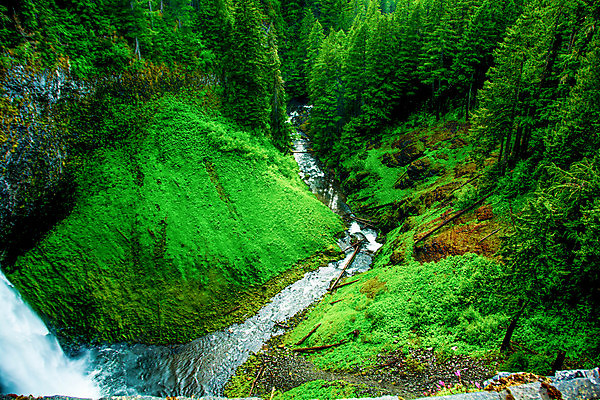 포토 JPG 해외이미지 나무 여행 자연 풍경 사람없음 야외 물 강 여행객 맑음 폭포 하이킹 개울 숲 통나무 장노출 암초 해외202004 해외포토 자연요소 식물 레저 날씨 촬영기법 사람 생태계 파일형식 이미지허브