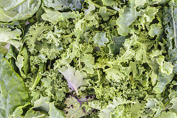 포토 JPG 해외이미지 음식 잎 다이어트 채소 재료 건강 사람없음 초록색 신선 맛 유기농 날것 채식주의자 케일 슈퍼푸드 해외202004 해외포토 식물 웰빙 컬러 컨셉 채식 건강식품 파일형식 이미지허브