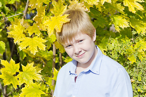 포토 JPG 해외이미지 백인 1 공원 남자 유럽 어린이 남학생 잎 한명 사람 소년 금발 햇빛 태양 노란색 가을 흰색 아기 10 9 8 해외202004 해외포토 자연요소 서양인 식물 학생 헤어스타일 계절 공공시설 나라 컬러 숫자 파일형식 이미지허브
