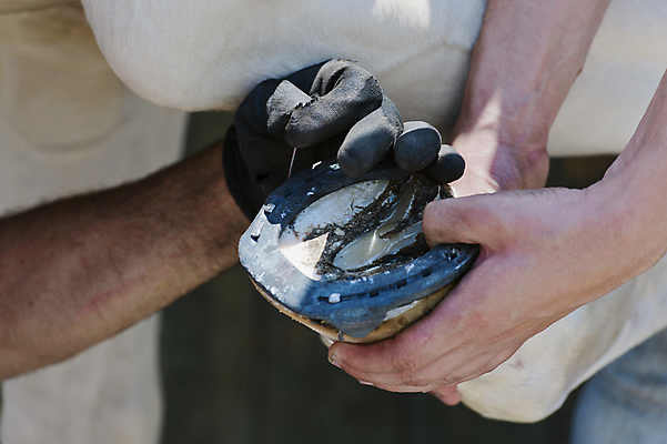 포토 JPG 해외이미지 신발 손가락 관리 사람없음 농장 갈색 금속 회색 도구 업무 못 뜨거움 구멍 수리 콘센트 오븐 망치 손톱 철 파일 펜치 삼각대 유지 교체 대장장이 아랍어 편자 해외202004 해외포토 손 컬러 농업 재질 가전제품 공구 작업 말발굽 파일형식 이미지허브
