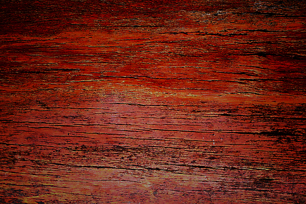 포토 JPG 해외이미지 나무 식물 디자인 벽 백그라운드 자연 표면 추상 주택 사람없음 내부 건물 목재 어둠 널 목수 질감 옛날 해외202004 해외포토 직업 건축물 무늬 재료 생태계 파일형식 이미지허브