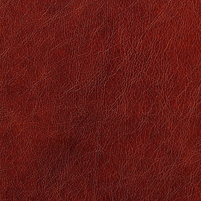 포토 JPG 해외이미지 디자인 백그라운드 패턴 추상 사람없음 그래픽 갈색 유행 가죽 피부 그림 질감 정사각형 숨김 내추럴 해외202004 해외포토 도형 컬러 컨셉 무늬 신체부위 파일형식 이미지허브