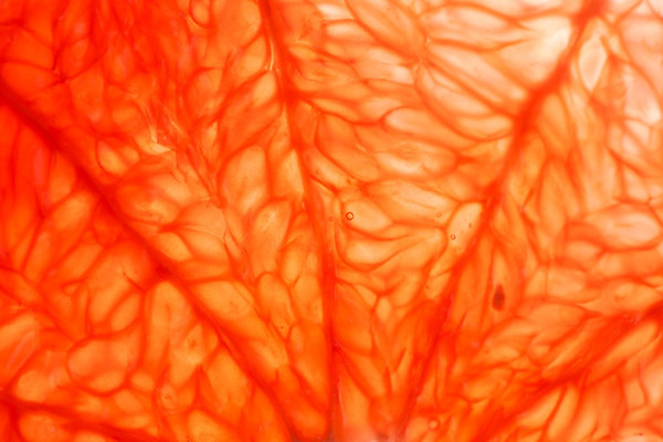 포토 JPG 해외이미지 음식 분홍색 조각 백그라운드 십자가 다이어트 채소 오렌지 과일 부분 자연 추상 귤 실내 건강 사람없음 빨간색 흰색 신선 달콤 맛 아침식사 먹기 상쾌 질감 날것 슬라이스 토막 숙성 해외202004 해외포토 감정 컬러 컨셉 무늬 모션 내부 식사 생태계 파일형식 이미지허브