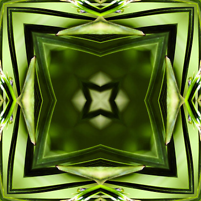 포토 JPG 해외이미지 꽃 백그라운드 무지개 추상 미술 사람없음 장식 디지털 원형 낟알 그림 질감 상상력 해외202004 해외포토 자연요소 도형 식물 무늬 문화예술 파일형식 이미지허브