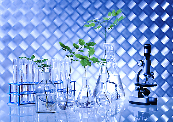 포토 JPG 해외이미지 식물 실내 현미경 실험 사람없음 액체 화학 실험실 플라스크 시험관 비커 화학실험 해외202004 해외포토 과학 실험기구 내부 파일형식 이미지허브