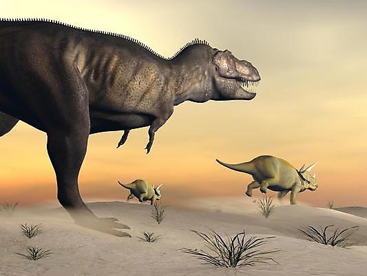 JPG 해외이미지 식물 세마리 사람없음 그래픽 3D 일몰 사냥 트리케라톱스 티라노사우루스 해외202004 해외포토 포토 3 노을 디지털합성 육식공룡 초식공룡 파일형식 이미지허브