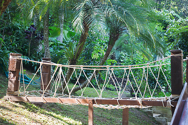 포토 JPG 해외이미지 나무 식물 계절 공원 잎 태국 자연 휴가 휴식 풍경 사람없음 초록색 물 정원 수영 봄 트래킹 활발 폭포 젖음 성장 신선 개울 숲 시원함 순수 해외202004 해외포토 자연요소 공공시설 아시아 컬러 컨셉 레저 강 수상스포츠 생태계 파일형식 이미지허브