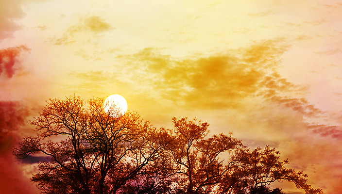 포토 JPG 해외이미지 나무 구름 실루엣 분홍색 백그라운드 오렌지 자연 하늘 그림자 풍경 사람없음 컬러풀 태양 우주 일몰 새벽 공백 황금 정상 즐거움 지역 산악지대 몽환 해외202004 해외포토 자연요소 식물 감정 컬러 컨셉 과일 산 촬영기법 노을 생태계 파일형식 이미지허브