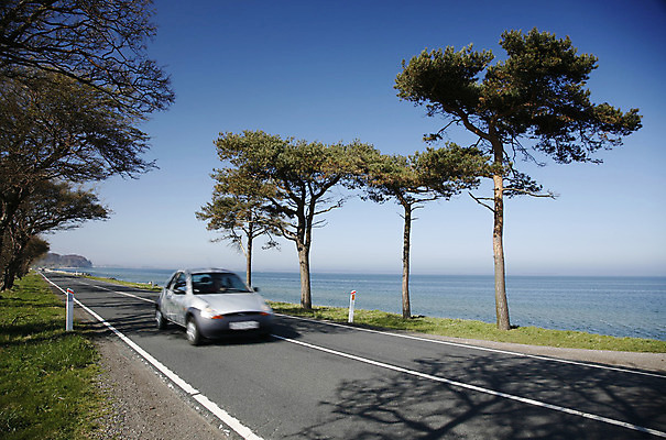 포토 JPG 해외이미지 나무 바다 교통시설 모션 자동차 덴마크 사람없음 야외 가로 물 햇빛 맑음 봄 소나무 고속도로 속도 블러 해외202004 해외포토 자연요소 식물 계절 도로 육상교통 교통 날씨 북유럽 태양 시설 파일형식 이미지허브