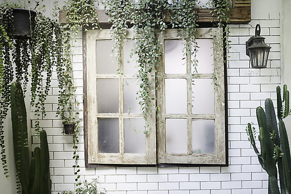 포토 JPG 해외이미지 꽃 화분 벽 컨셉 잎 창문 자연 선반 주택 아이디어 실내 매달리기 사람없음 목재 초록색 인테리어 바구니 상점 화려 작업실 해외202004 해외포토 나무 식물 디자인 컬러 가구 재료 모션 내부 건물 생태계 파일형식 이미지허브