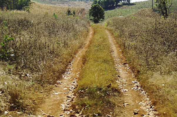 포토 JPG 해외이미지 나무 식물 구름 계절 공원 도로 길 낙엽 잎 밭 자연 하늘 아침 따뜻함 풍경 사람없음 야외 목재 책 초록색 여름 파란색 빛 컬러풀 태양 노란색 걷기 환경 어둠 일몰 봄 가을 시골 신선 숲 장면 내추럴 방법 해외202004 해외포토 주간 자연요소 공공시설 컬러 농업 재료 교통시설 모션 노을 생태계 파일형식 이미지허브