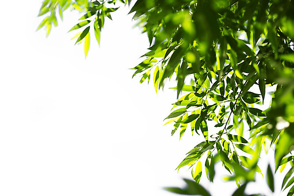 포토 JPG 해외이미지 직업 계절 종이 컨셉 돈 비즈니스 사람없음 빨간색 금융 빛 사무실 숫자 펜 미국 계산 계획 서식 문서 법 수익 계좌 세금 수입 예산 정부 환불 비용 해외202004 해외포토 문자 컬러 북아메리카 경제 필기구 재산 파일형식 이미지허브