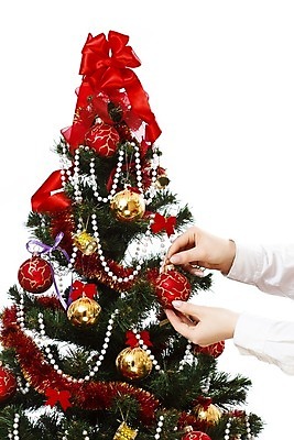 포토 JPG 해외이미지 나무 식물 전통 손 계절 행복 리본 백그라운드 크리스마스 겨울 공 휴가 기념 한명 장식 빨간색 초록색 흰색 축하 묘사 오브젝트 솔방울 상록수 고립 해외202004 해외포토 1 기념일 감정 컬러 컨셉 사람 신체부위 파일형식 이미지허브