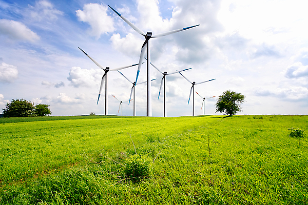 포토 JPG 해외이미지 나무 구름 산업 밭 자연 하늘 바람 안전 풍경 사람없음 야외 초록색 파란색 농장 환경 힘 재활용 풍차 에너지 칼날 자원 세대 유지 방앗간 혁명 개발 생태학 효율 공급 해외202004 해외포토 자연요소 식물 교육 컬러 컨셉 농업 날씨 친환경 생태계 파일형식 이미지허브