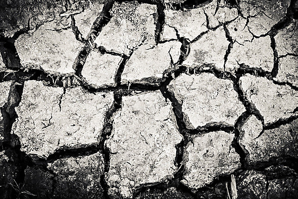 포토 JPG 해외이미지 식물 지구 조각 백그라운드 패턴 일러스트 자연 벽지 표면 날씨 추상 건조 풍경 사람없음 야외 그래픽 글로벌 환경 검은색 어둠 손상 사막 흰색 죽음 뜨거움 균열 땅 질감 찢어짐 다리찢기 내추럴 그런지 깨짐 땅바닥 재앙 지진 지질학 효과 해외202004 해외포토 교육 컬러 컨셉 무늬 모션 바닥 자연재해 생태계 파일형식 이미지허브