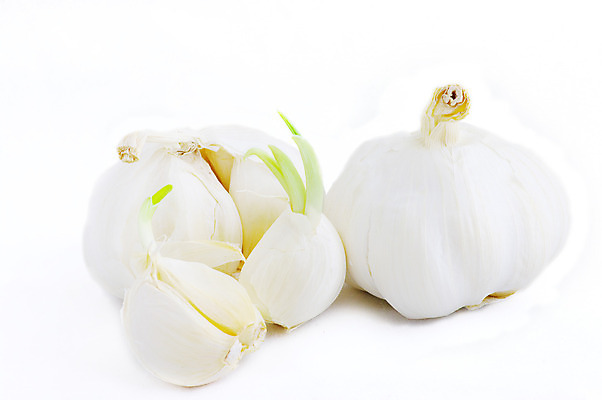 포토 JPG 해외이미지 음식 조각 백그라운드 컨셉 농업 다이어트 채소 과일 재료 전구 자연 양파 추상 건강 마늘 요리 사람없음 초록색 식당 보라색 식사 저녁식사 껍질 흰색 그룹 맛 먹기 허브 심볼 향신료 오브젝트 유기농 날것 향기 냄새 흙더미 고립 채식주의자 비건 해외202004 해외포토 식물 웰빙 산업 컬러 무늬 모션 상점 흙 생태계 채식 향미료 파일형식 더미 이미지허브