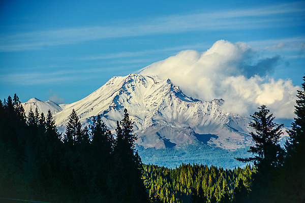 포토 JPG 해외이미지 나무 구름 여행 하늘 산 풍경 사람없음 야외 캘리포니아 해외202004 해외포토 자연요소 식물 미국 파일형식 이미지허브