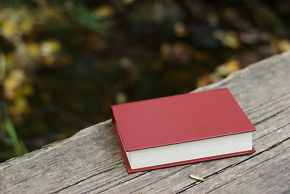 포토 JPG 해외이미지 이야기 사람없음 야외 목재 책 성경 덮개 버리기 문학 신성 거짓말 땅바닥 해외202004 해외포토 나무 재료 종교용품 모션 바닥 뚜껑 파일형식 이미지허브