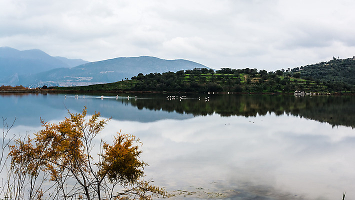 포토 JPG 해외이미지 동물 구름 공원 호수 야생동물 여행 겨울 자연 조류 하늘 산 서기 풍경 사람없음 야외 물 강 컬러풀 반사 가을 연못 플라밍고 사파리 깃털 언덕 부리 진흙 물새 내추럴 해외202004 해외포토 자연요소 계절 공공시설 컬러 모션 생태계 파일형식 이미지허브