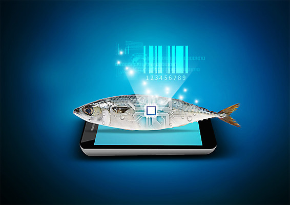 PSD 편집 편집이미지 음식 스마트라이프 사람없음 스마트폰 스마트 반도체 바코드 고등어 반도체칩 이미지편집 라이프스타일 컨셉 어류 핸드폰 스마트기기 메모리칩 파일형식