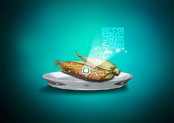 PSD 편집 편집이미지 접시 음식 스마트라이프 옥수수 사람없음 스마트 반도체 QR코드 반도체칩 이미지편집 라이프스타일 식기 컨셉 곡류 메모리칩 파일형식