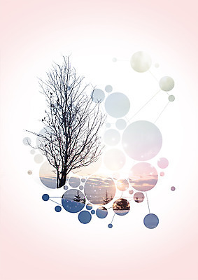 PSD 나무 구름 편집 편집이미지 자연 하늘 사람없음 노을 환경 이미지편집 자연요소 식물 생태계 파일형식