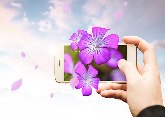 PSD 구름 편집 편집이미지 손 꽃잎 꽃 하늘 한명 스마트폰 환경 이미지편집 자연요소 식물 1 사람 신체부위 핸드폰 스마트기기 파일형식