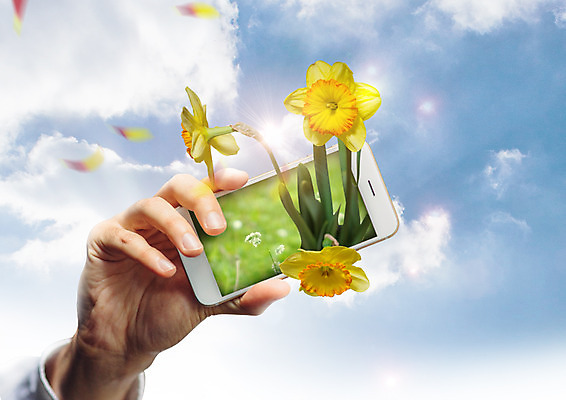 PSD 구름 편집 편집이미지 손 꽃 하늘 한명 스마트폰 환경 이미지편집 자연요소 식물 1 사람 신체부위 핸드폰 스마트기기 파일형식