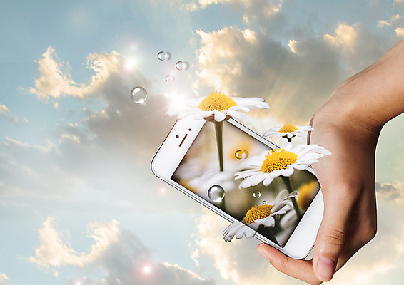 PSD 구름 편집 편집이미지 손 꽃 하늘 한명 스마트폰 햇빛 노을 환경 물방울 이미지편집 자연요소 식물 1 사람 신체부위 핸드폰 스마트기기 태양 파일형식