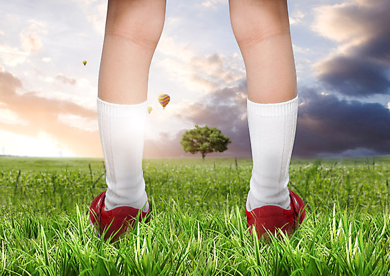 PSD 나무 구름 편집 편집이미지 어린이 운동화 하늘 양말 한명 잔디 뒷모습 노을 환경 열기구 다리 이미지편집 자연요소 식물 1 뷰포인트 신발 항공교통 사람 신체부위 파일형식