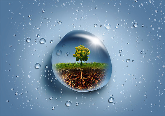 PSD 나무 편집 편집이미지 자연 사람없음 환경 흙 물방울 이미지편집 식물 생태계 파일형식