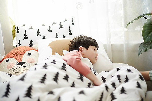 포토 JPG 남자 어린이 아침 실내 한명 소년 상반신 옆모습 눕기 한국인 침대 잠 소년한명만 국내포토 주간 1 뷰포인트 가구 모션 사람 동양인 내부 남자한명만 소년만 파일형식