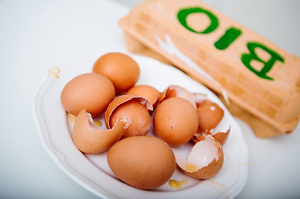 포토 JPG 접시 식재료 실내 사람없음 아웃포커스 계란 계란껍데기 유기농 국내포토 식기 웰빙 촬영기법 내부 알 파일형식