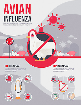 남자 일러스트 경고 한명 농장 인포그래픽 긴급 닭 돼지 바이러스 정지 예방 여권 손씻기 방역 조류독감 코로나바이러스 국내일러스트 AI파일 1 농업 포유류 모션 조류 사람 씻기 전염병 파일형식 벡터