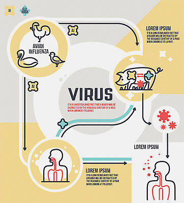 화살표 신체 일러스트 인체모형 조류 오리 인포그래픽 닭 돼지 바이러스 감염 철새 경로 조류독감 국내일러스트 AI파일 동물 포유류 모형 전염병 파일형식 벡터