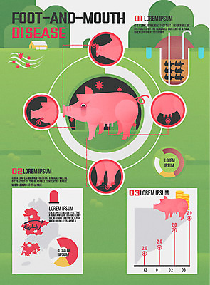 일러스트 그래프 사람없음 농장 인포그래픽 긴급 돼지 바이러스 폐사 구제역 아프리카돼지열병 국내일러스트 AI파일 농업 포유류 사회이슈 파일형식 벡터 돼지전염병